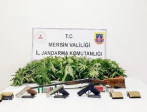 Jandarma’dan Uyuşturucu Yetiştirenlere Opersyon