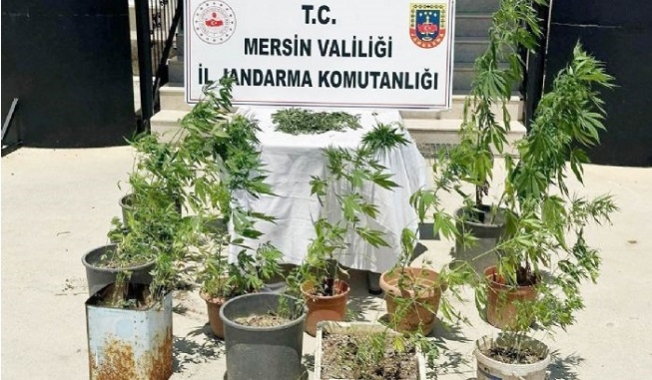 Mersin’de Uyuşturucu Operasyonu